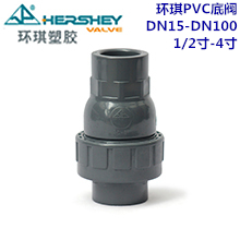 环琪PVC止回阀 DN15-DN100 1/2寸-4寸